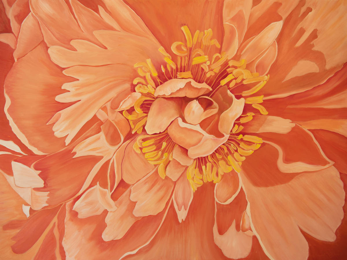 Coral Peony by Margaret Galvin Johnson 