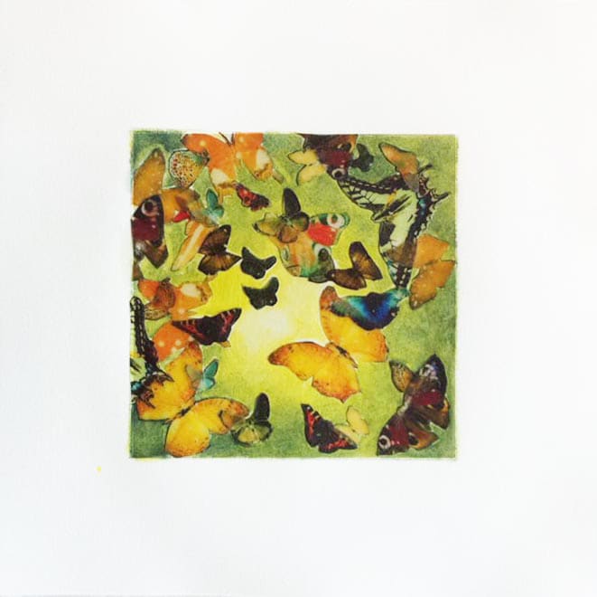 Butterfly Flutter by Kathy Ferguson 