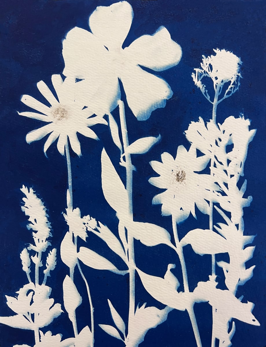 Florist Flowers by Kathy Ferguson 