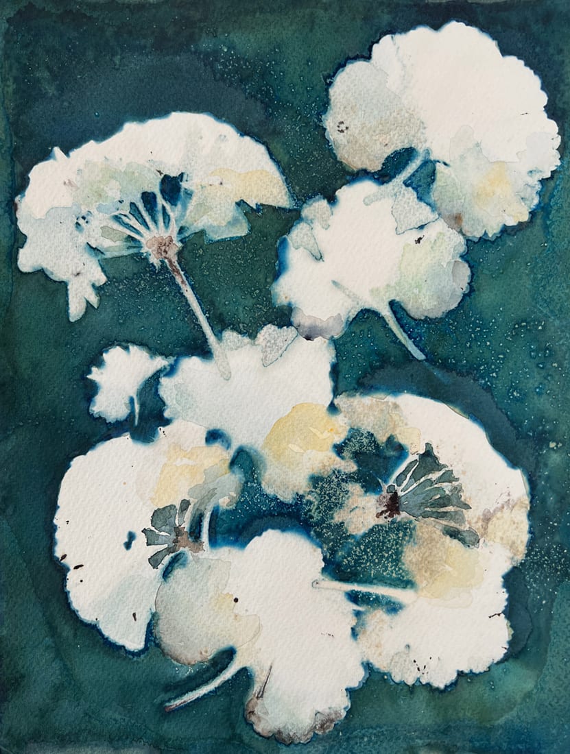 Geranium One by Kathy Ferguson, Image 1.