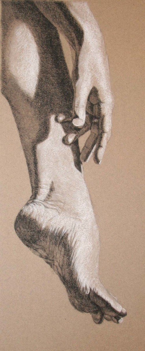 Long Limbed by Kathy Ferguson 