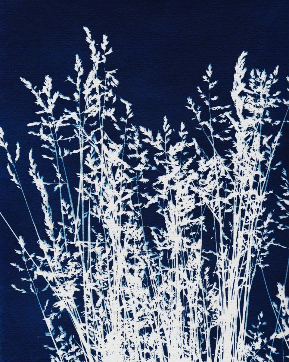 Ornamental Grass One by Kathy Ferguson 
