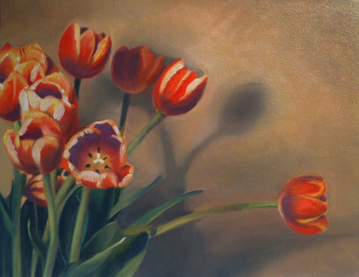 Tulip Shadows by Kathy Ferguson 