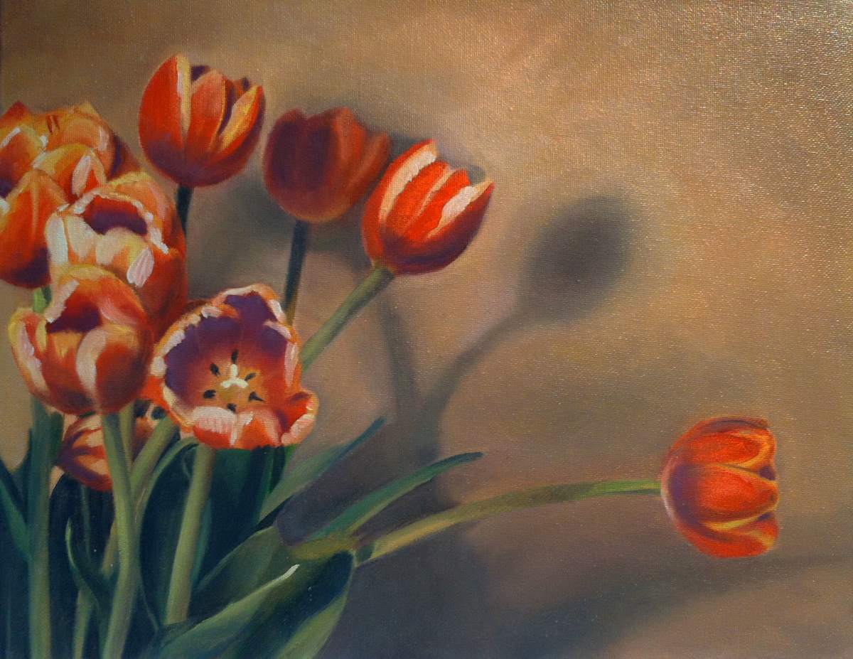 Tulip Shadows by Kathy Ferguson, Image 1.