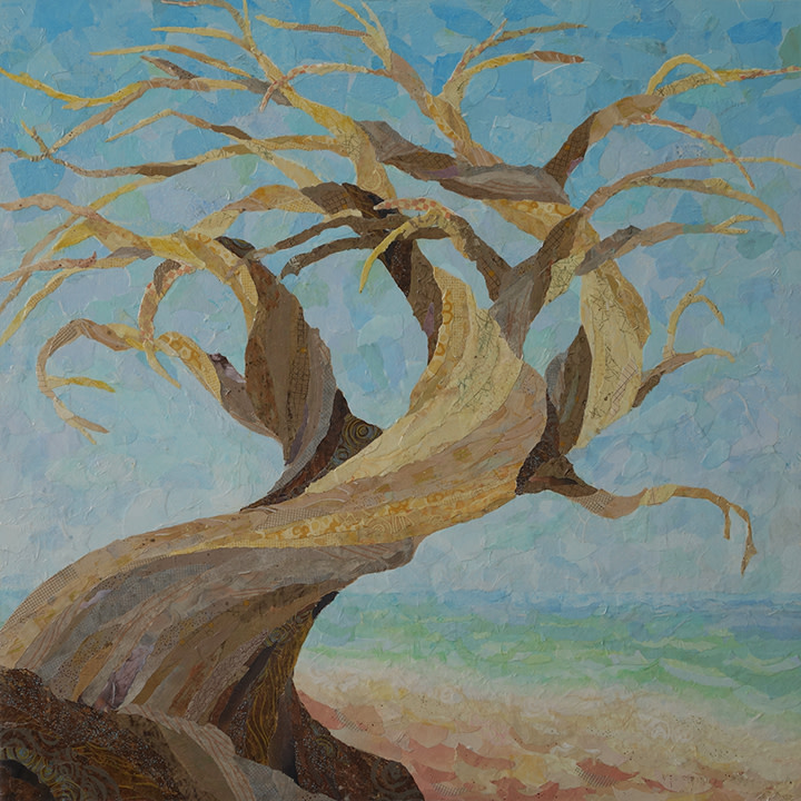 Twisted Cypress by Kathy Ferguson 
