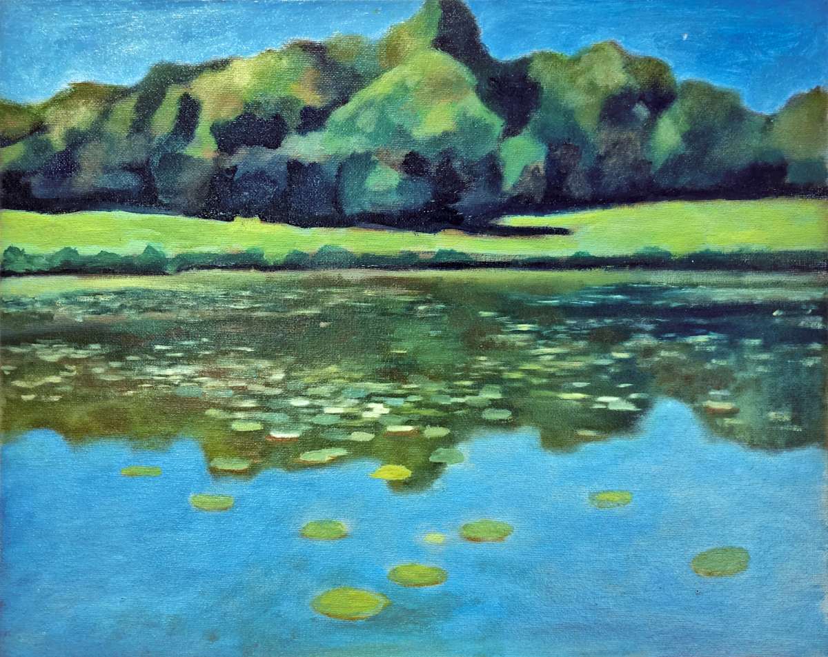 The Water Lilies of Saint Fargeau by Twose David 