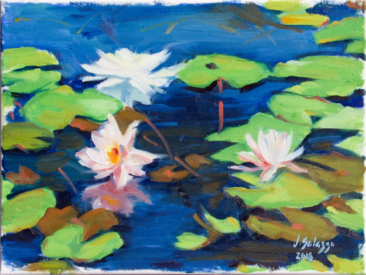 WHITE WATER LILLIES by Julia Solazzo Art 