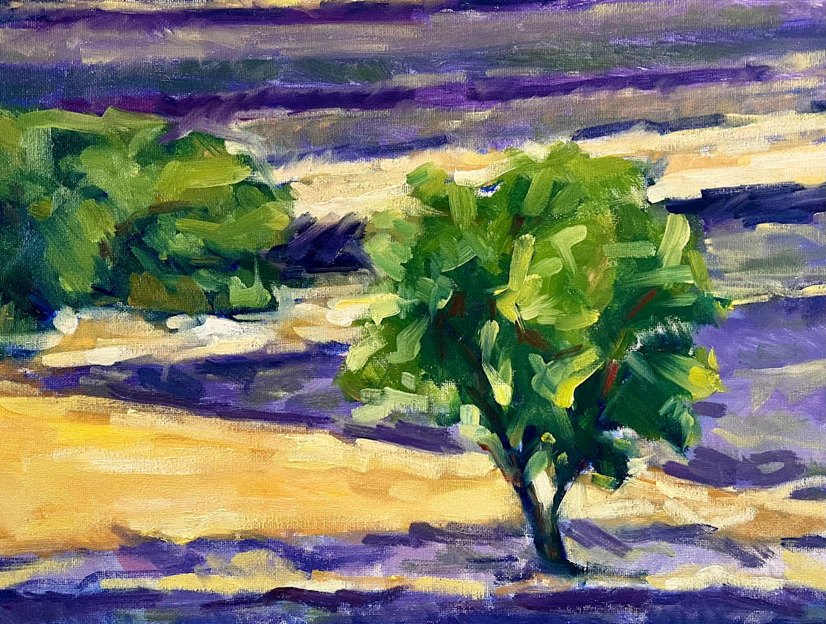 FIELDS OF LAVENDER AND GOLD by Julia Solazzo Art 