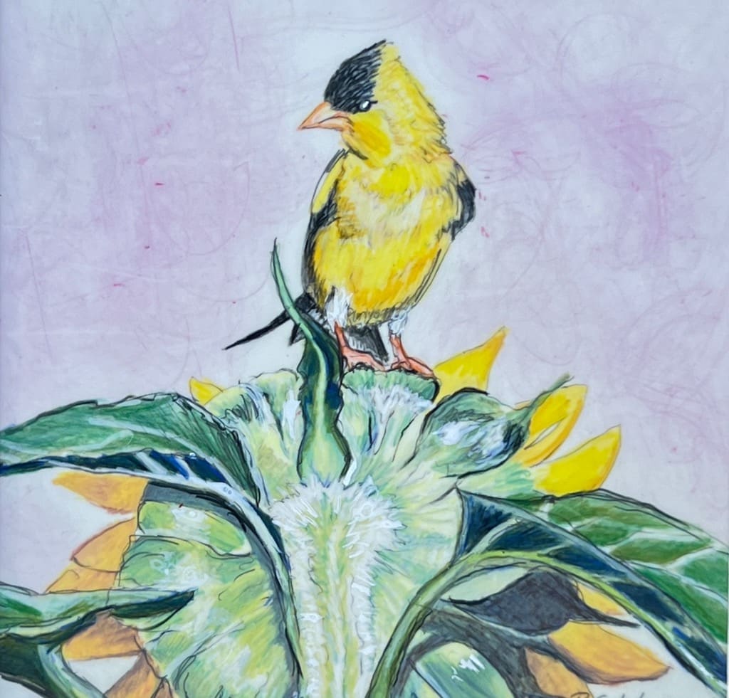 Visit with Yellow Finch by Bonnie Schetski  Image: Original Colored Pencil 