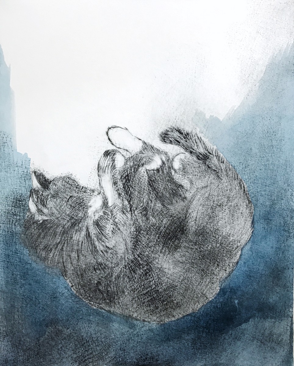 Falling Asleep by Maureen Shaughnessy 