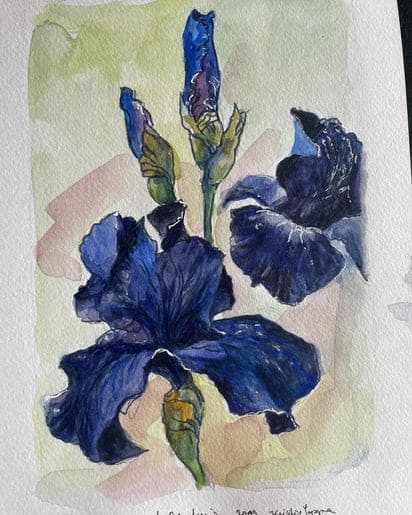 Giverny Monets Garden Iris by Kristine Skipsna 