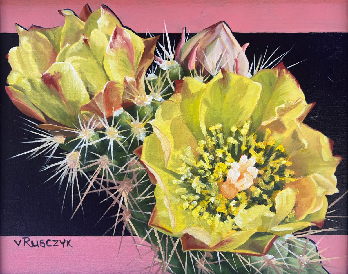 Cholla Blooms by Vanessa Rusczyk 