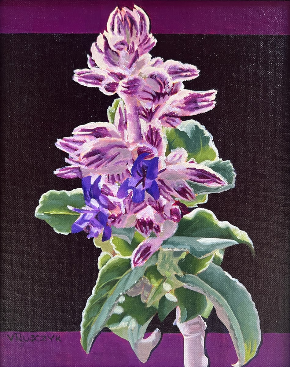 Desert Lavender by Vanessa Rusczyk 