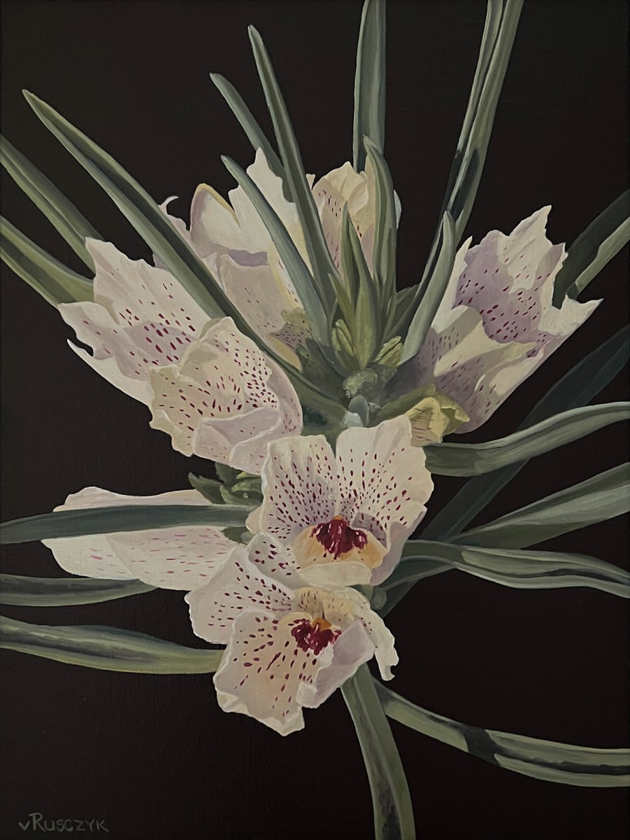 Ghost Flower by Vanessa Rusczyk 