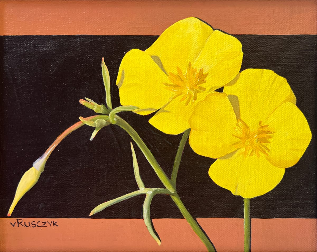 Gold Poppy by Vanessa Rusczyk 