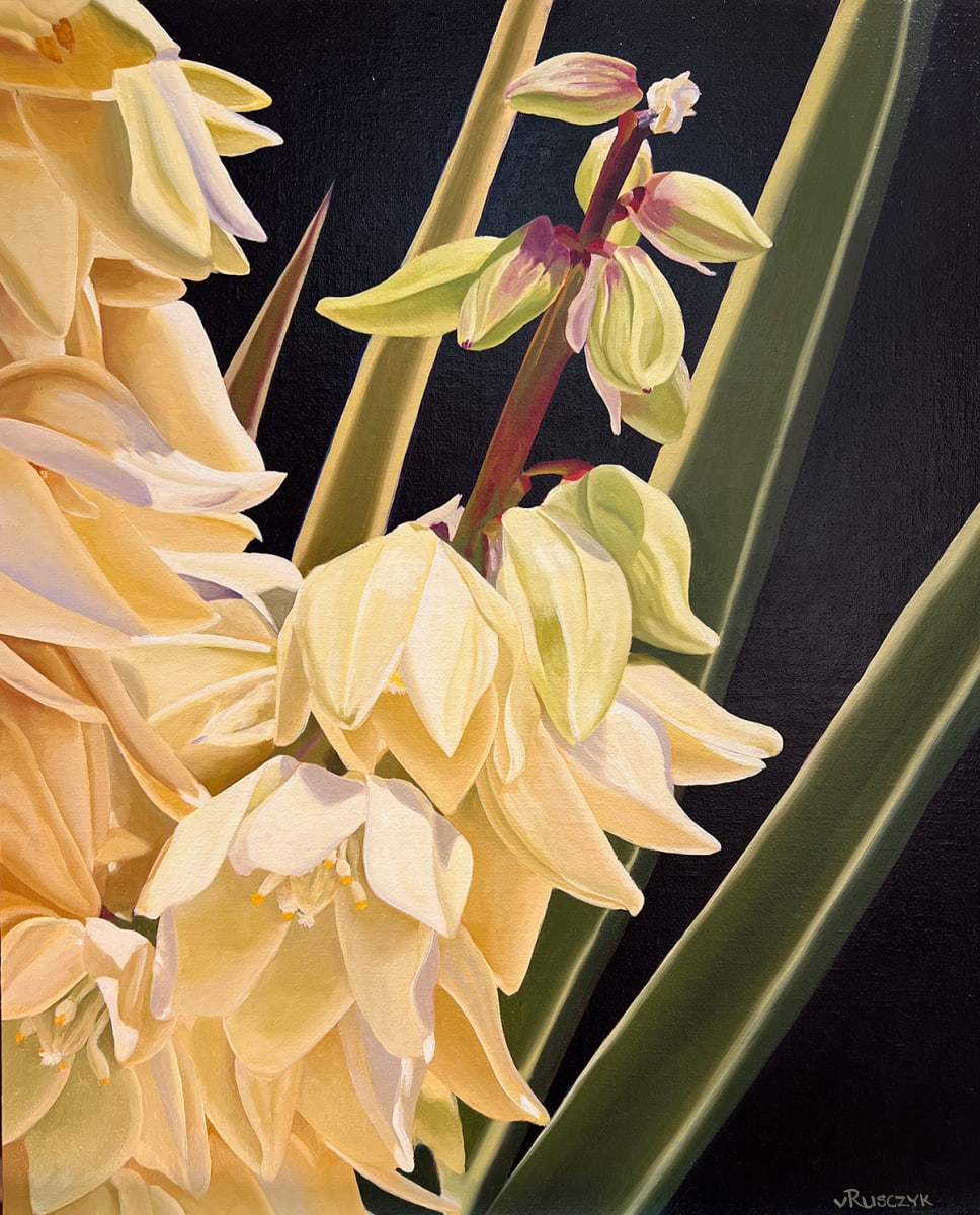 Mojave Yucca by Vanessa Rusczyk 