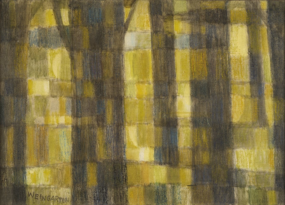 Golden Forest by Hilde Weingarten  Image: Tree trunks surrounded by golden light