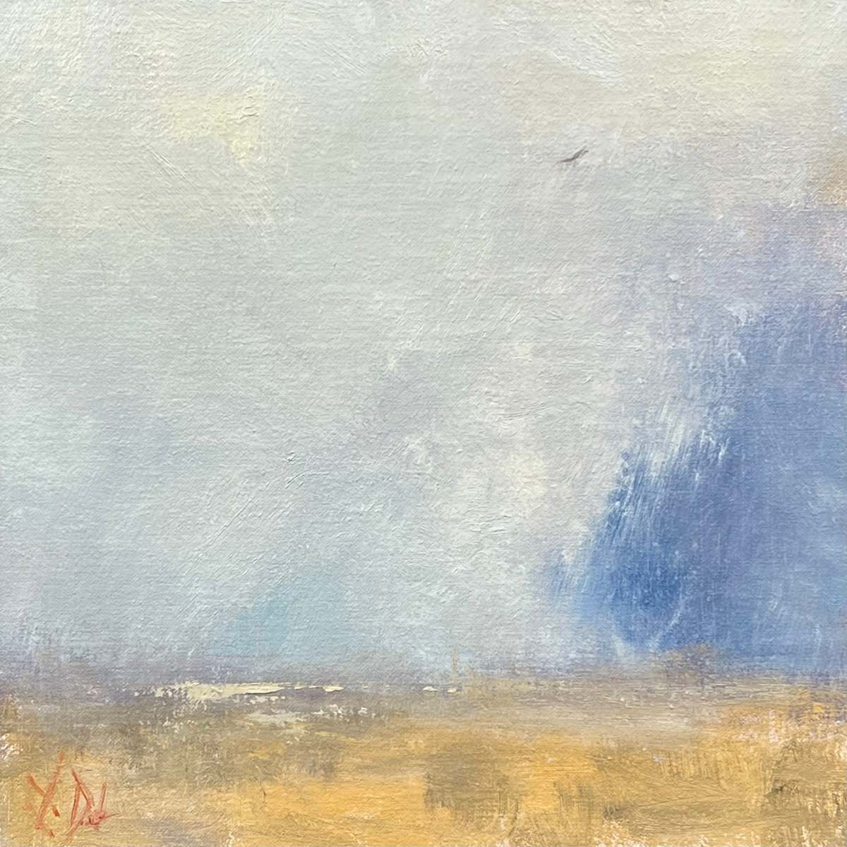 Catching a Thermal by Lamya Deeb, Image 1.