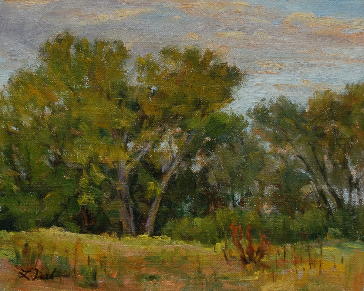 Evening Light, Cottonwood Stand by Lamya Deeb 