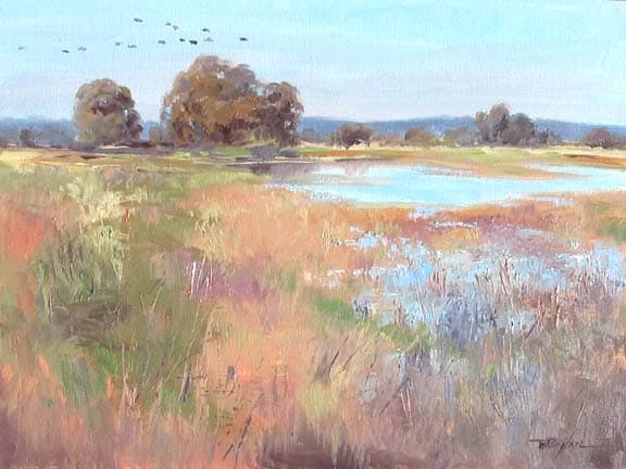 Autumn's Evidence by Brenda Boylan 