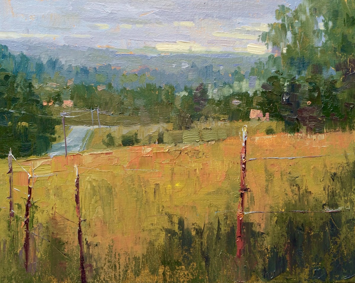 Distant Passages by Brenda Boylan 