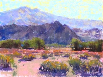 Fading Valley Floor by Brenda Boylan 