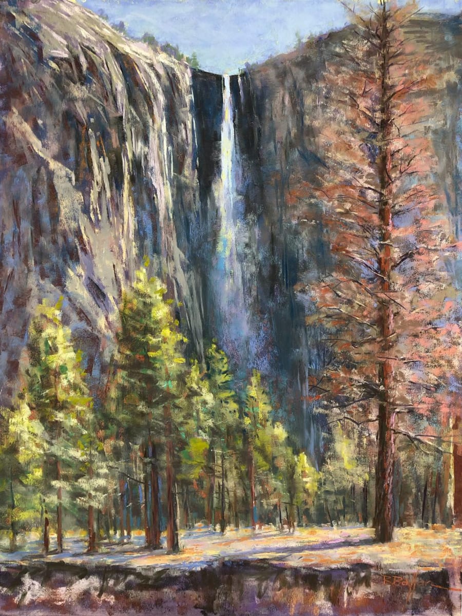 Falls & Firs by Brenda Boylan 