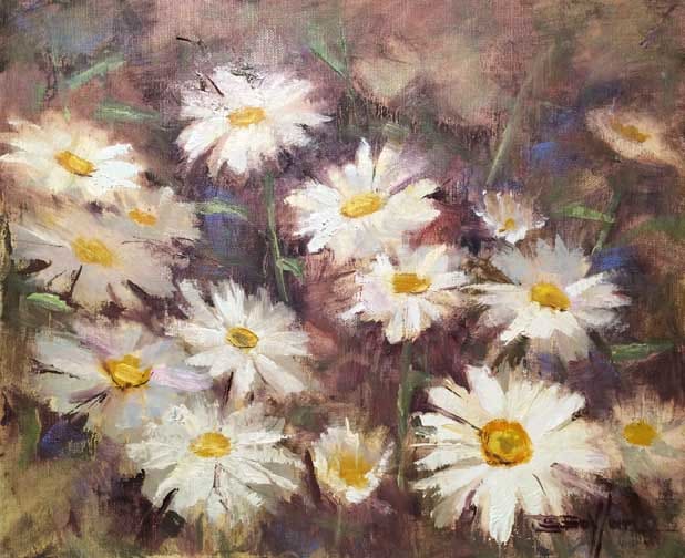 Oopsie Daisy by Brenda Boylan 