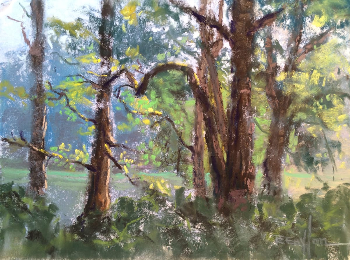 Roy Rogers Woods by Brenda Boylan 