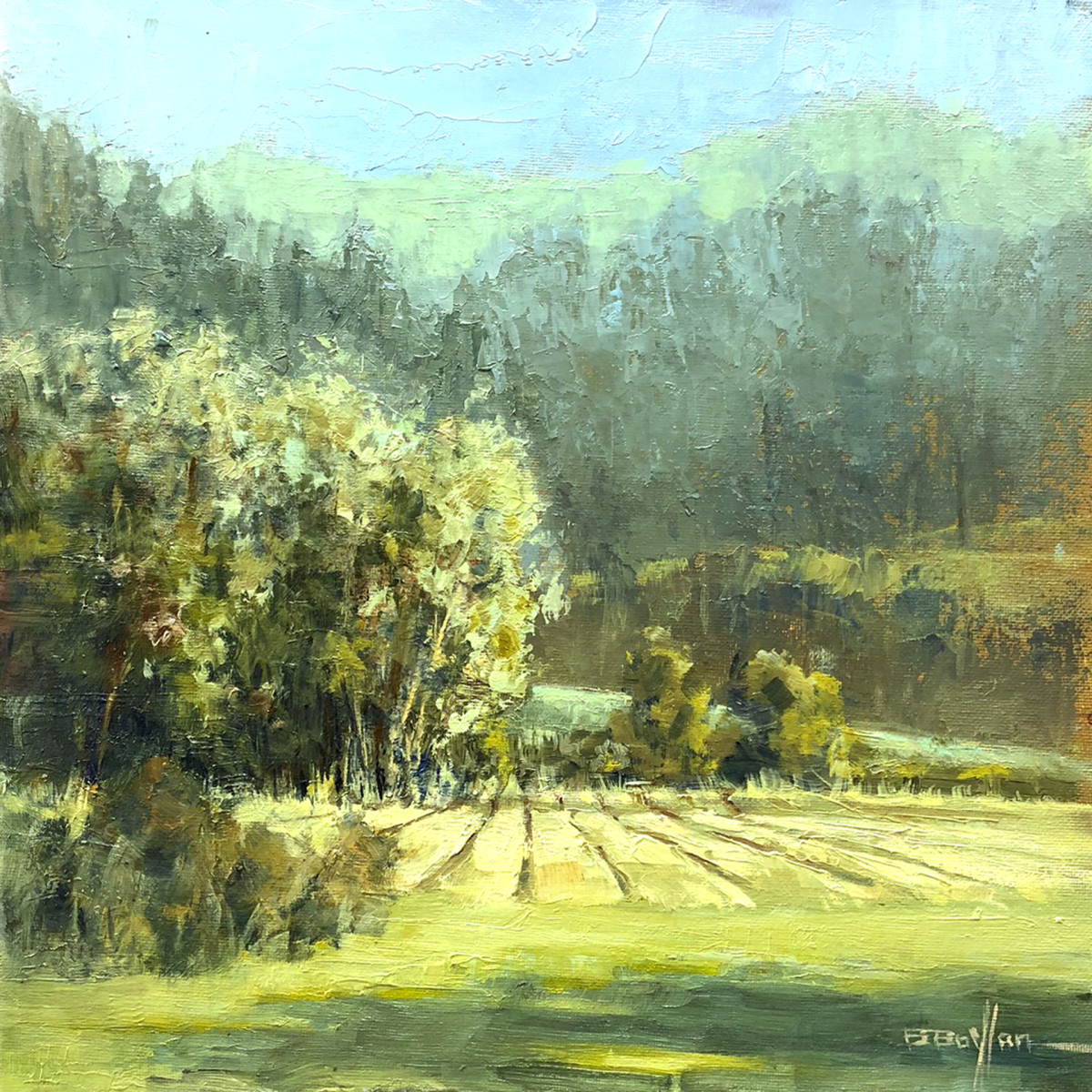 Spring Crop by Brenda Boylan 