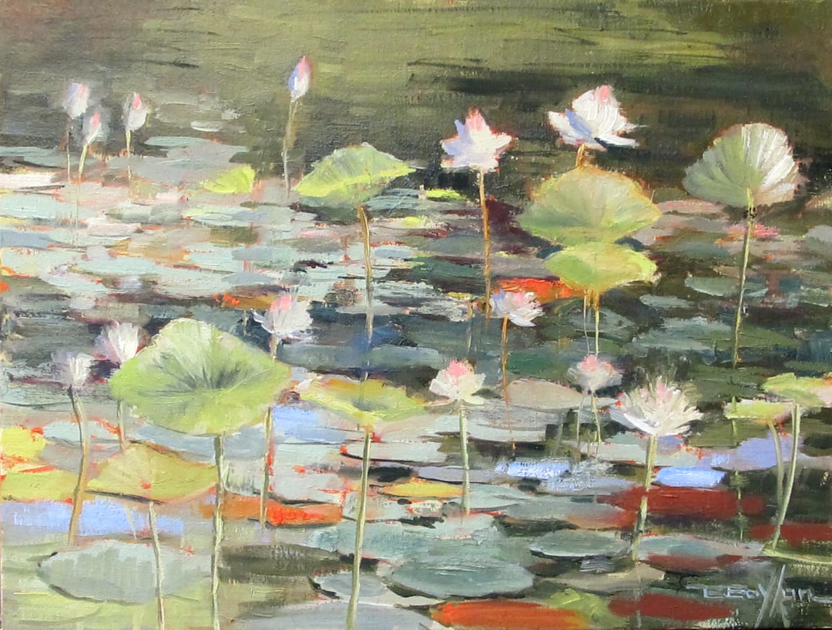 Summer Lotus by Brenda Boylan 