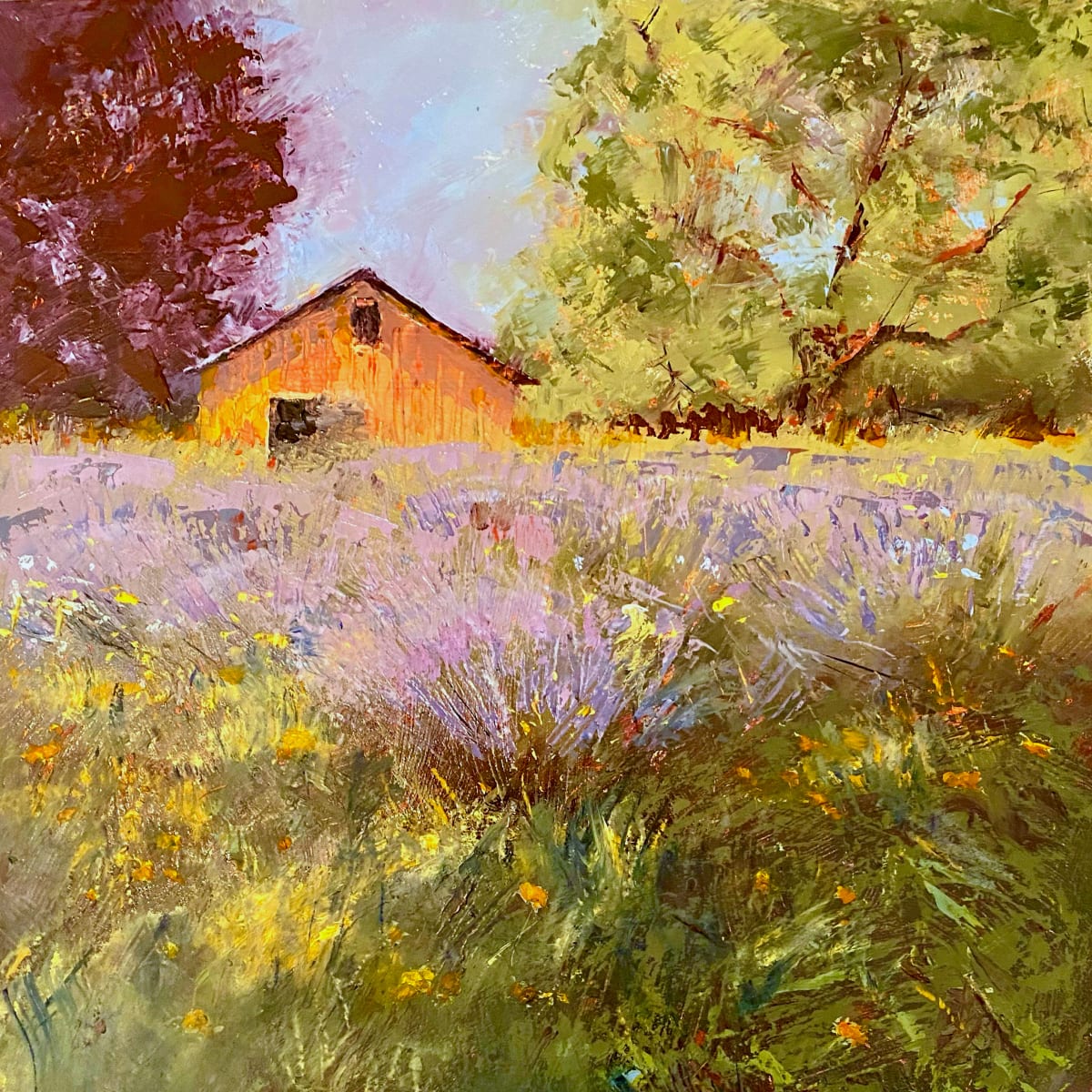 Sun-washed by Brenda Boylan 