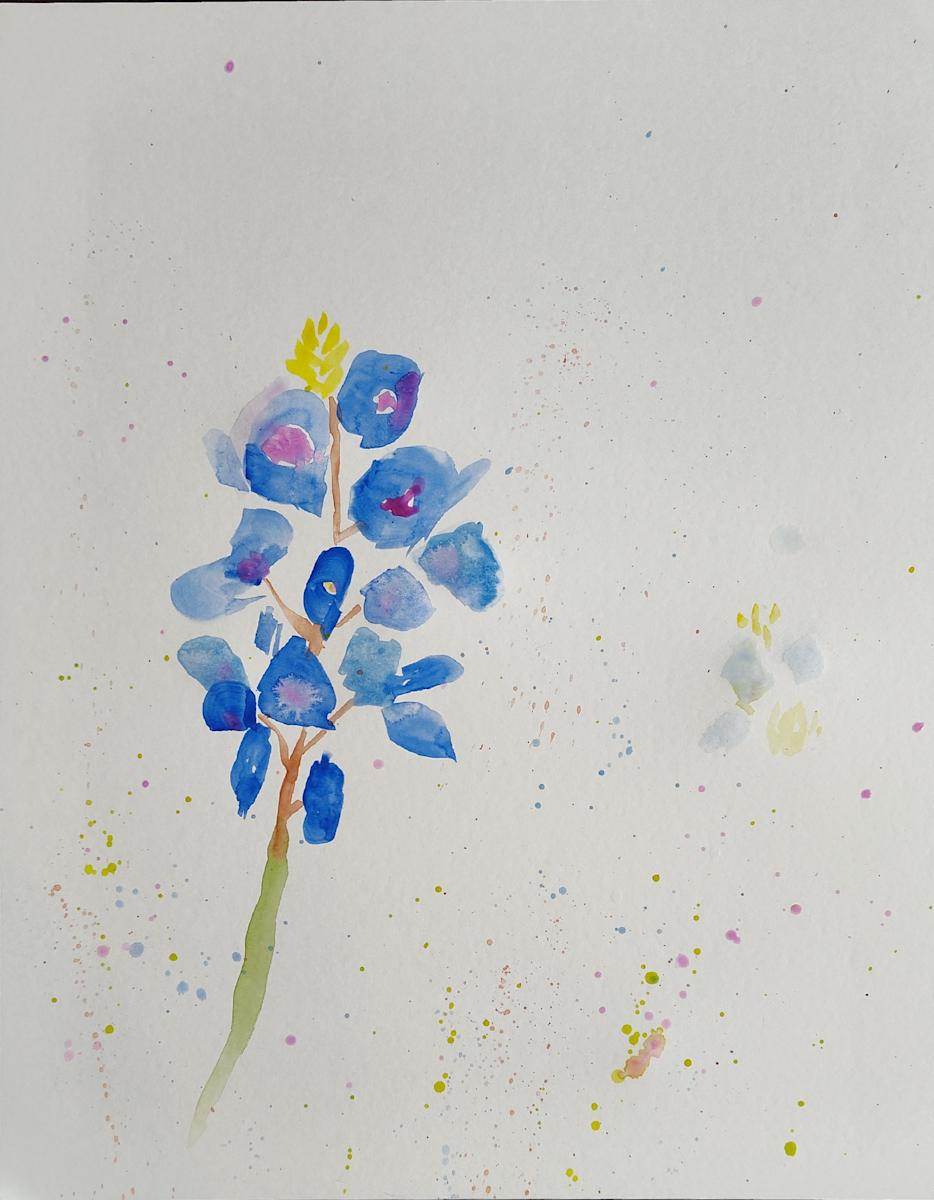 Bluebonnets I by Paul Shain 