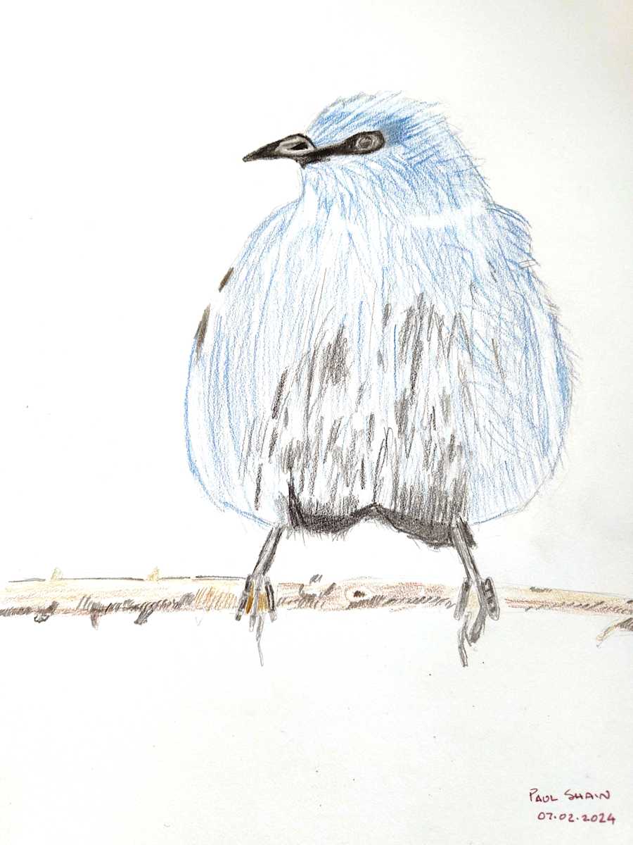 Bright Blue by Paul Shain, Image 1.