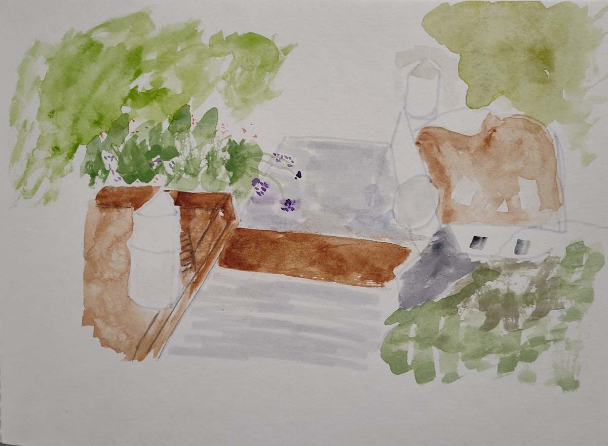 Flowers near hotel by Paul Shain, Image 1.