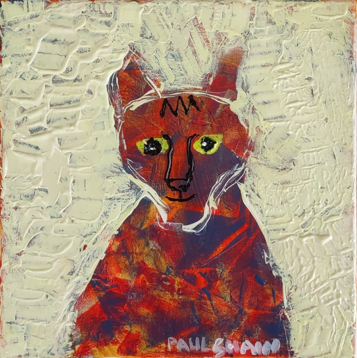 Pied Cat by Paul Shain 