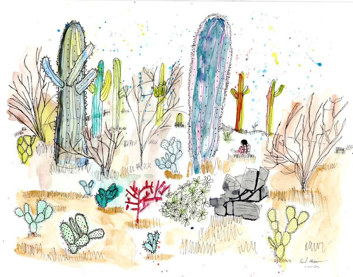 Saguaros by Paul Shain, Image 1.