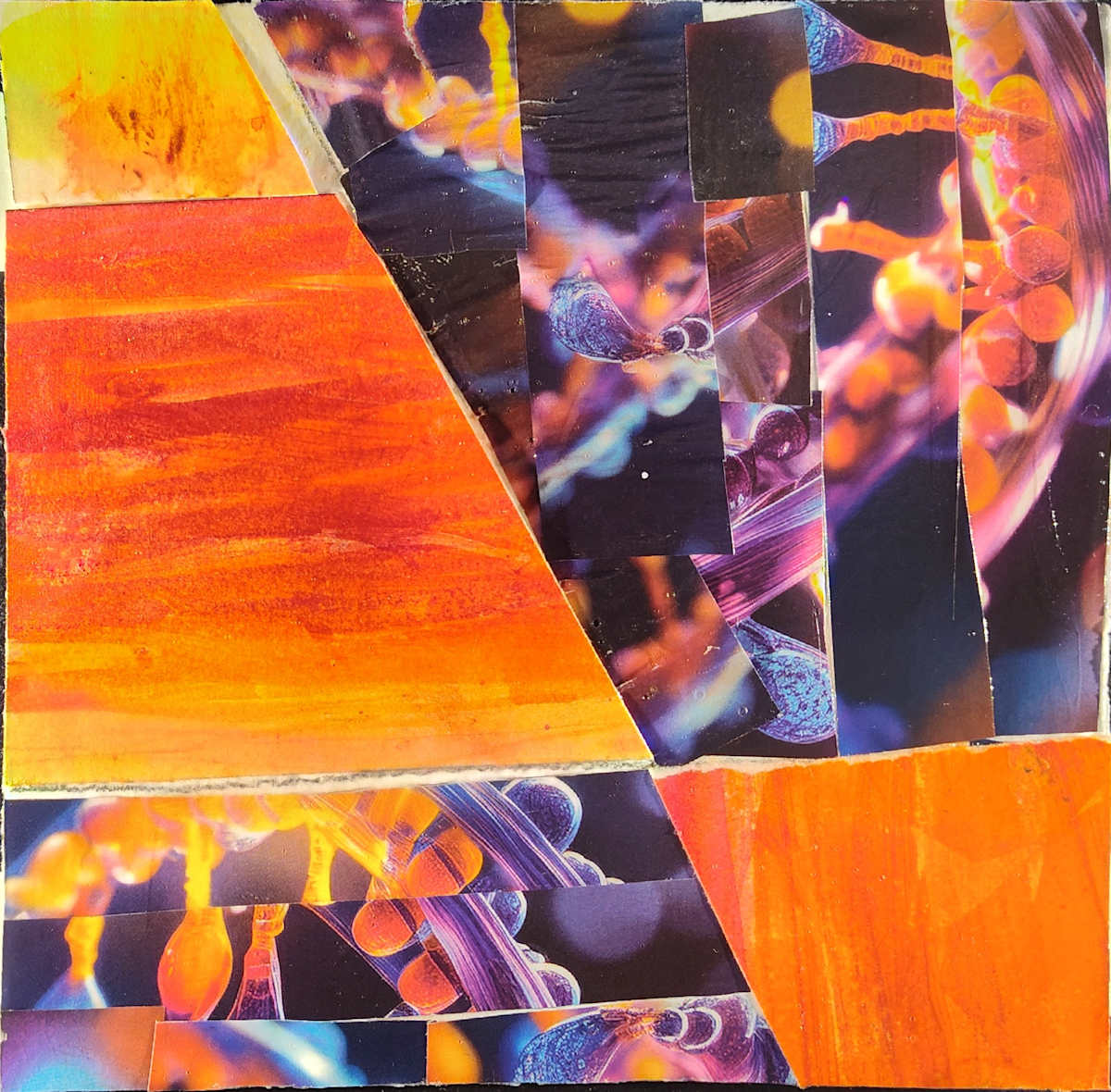 Cruciform by Paul Shain, Image 2.