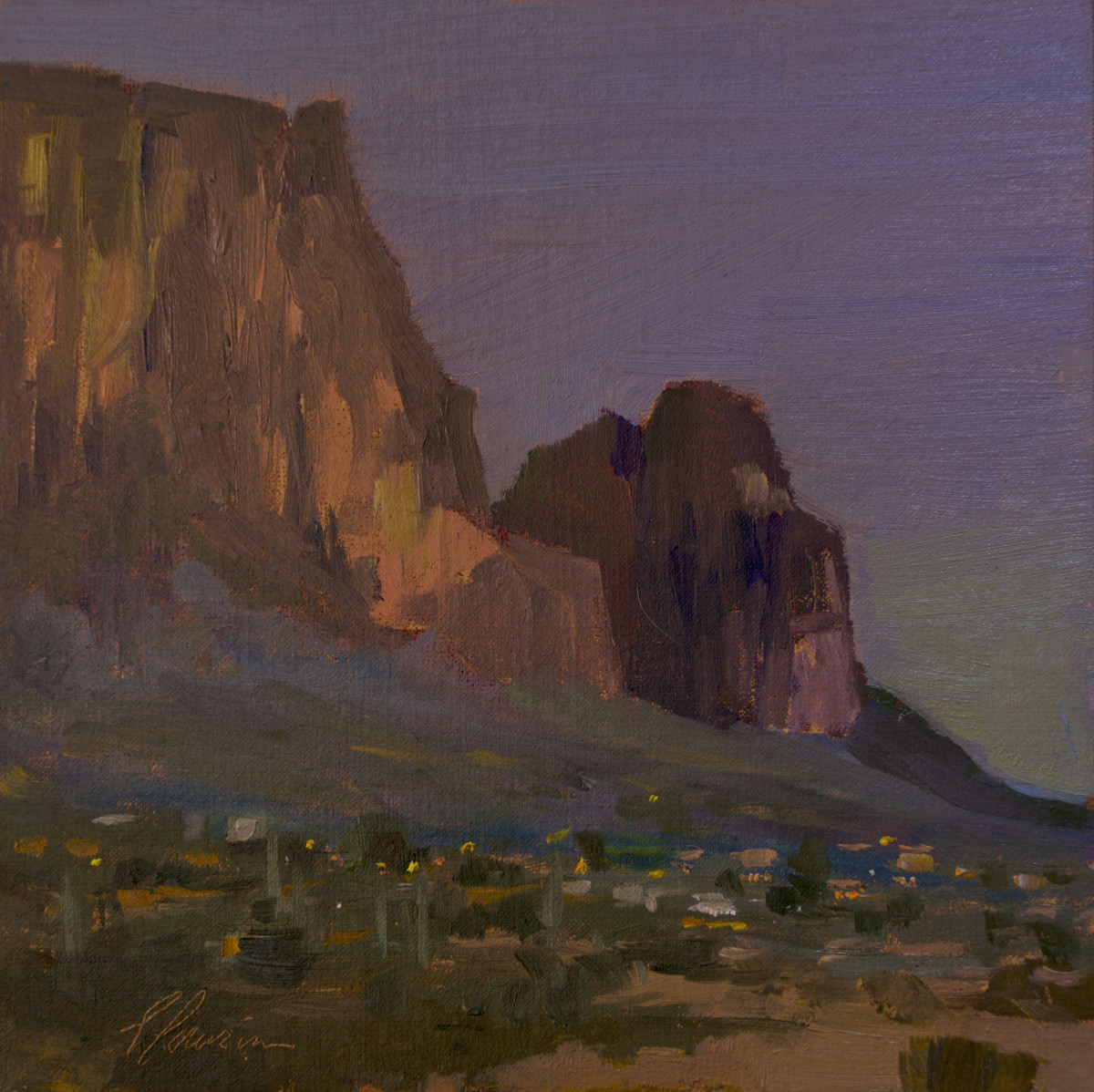 "Last Light on Lost Dutchman" by Lili Anne Laurin 