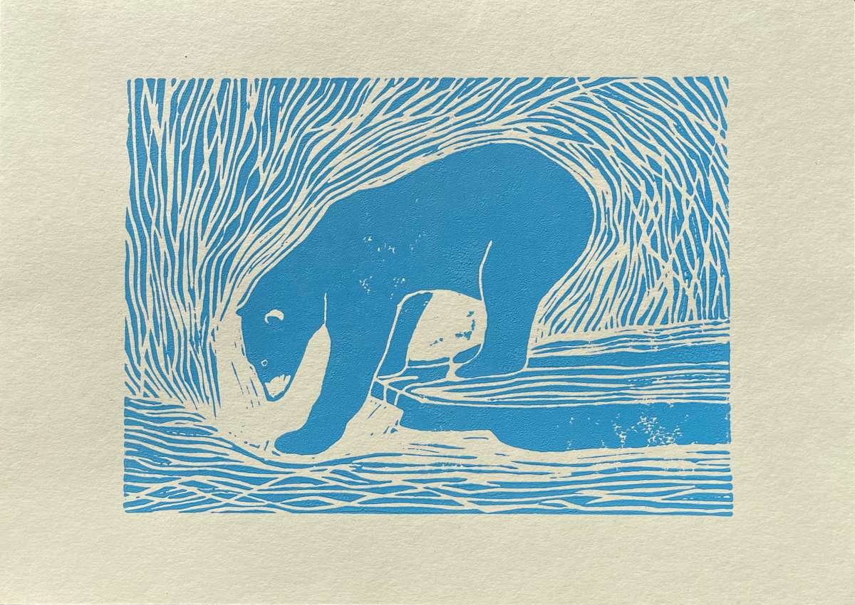 Bear / medved by Žiga Korent 