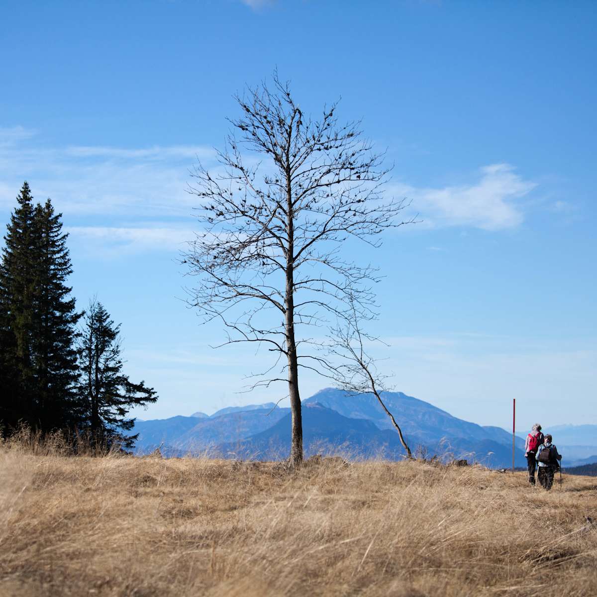 The view / razgled by Žiga Korent, Image 7.