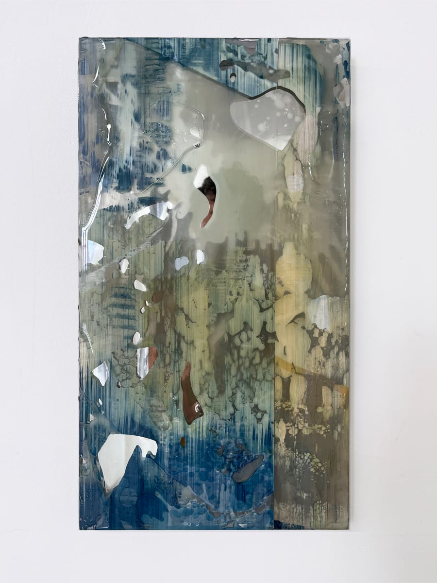 Apricot Tree by Laura Sallade 