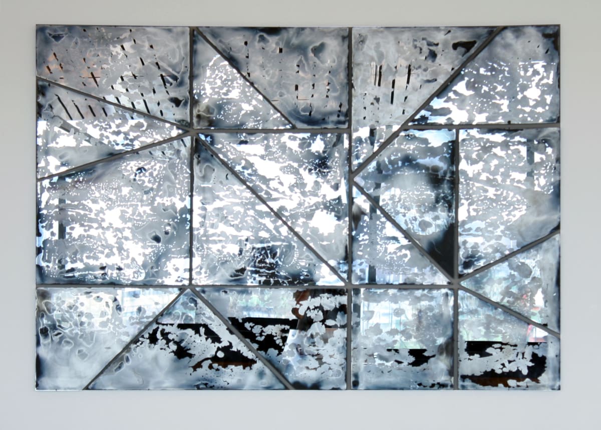 Lucida by Laura Sallade  Image: "Lucida" is an 18 panel installation which is held in Temple University's art collection in the Charles Library.