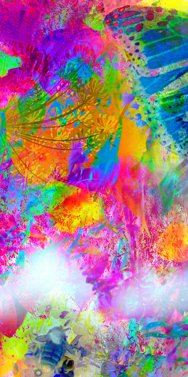 Awakening 2/20 by Elaine Pratt