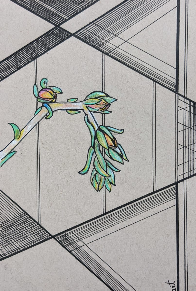 Plant Study 2018 by Lex R. Thomas 