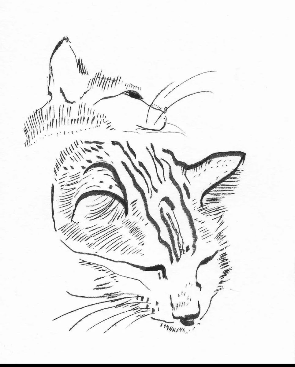 Cat Study 2019 by Lex R. Thomas 