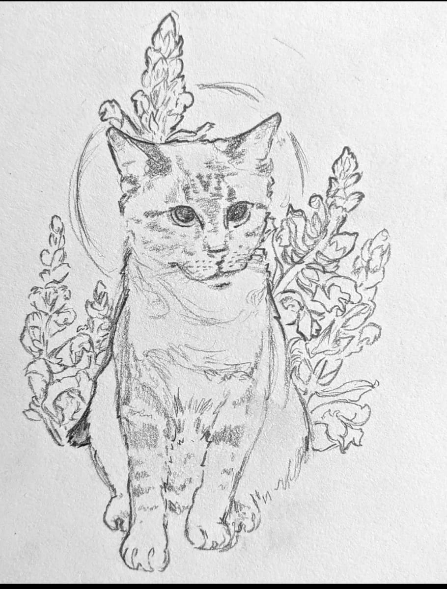 Cat Study 2021 by Lex R. Thomas 