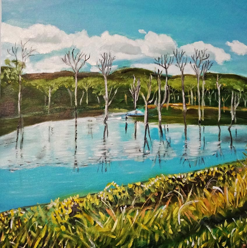 DARLING DOWNS REFLECTIONS by Linda Leftwich, Image 1.