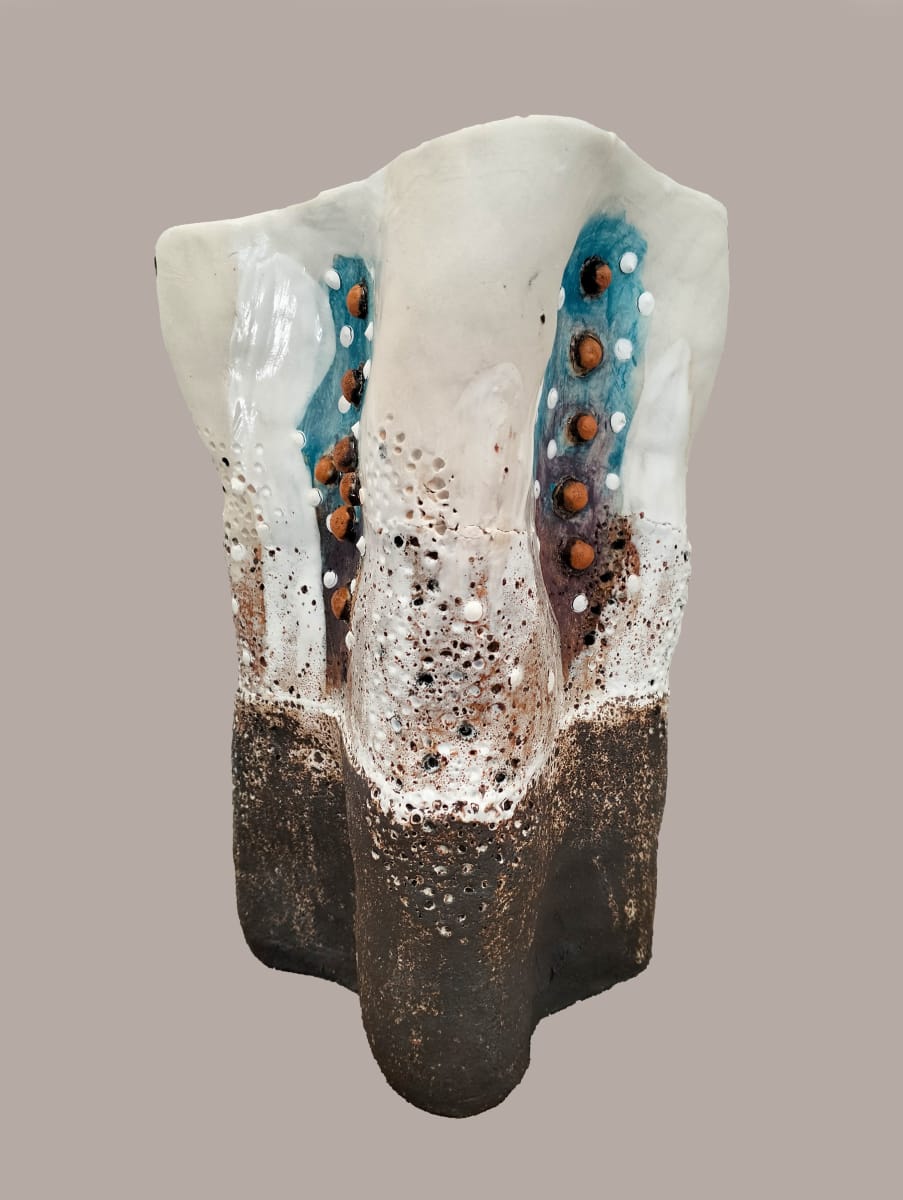 STAR FISH SKIN POT by Linda Leftwich  Image: Coral Inspiration series depicting star fish skin on a coral base