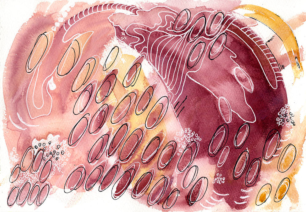 Abstract Aquatic Animals by Jamie Thomson 